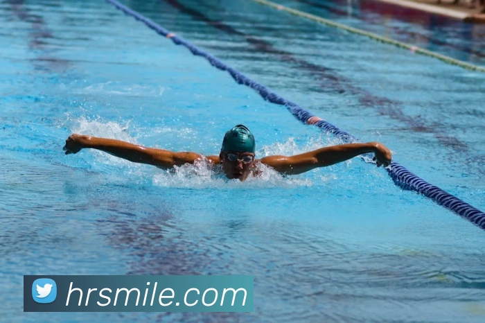 米乐m6平台生态图